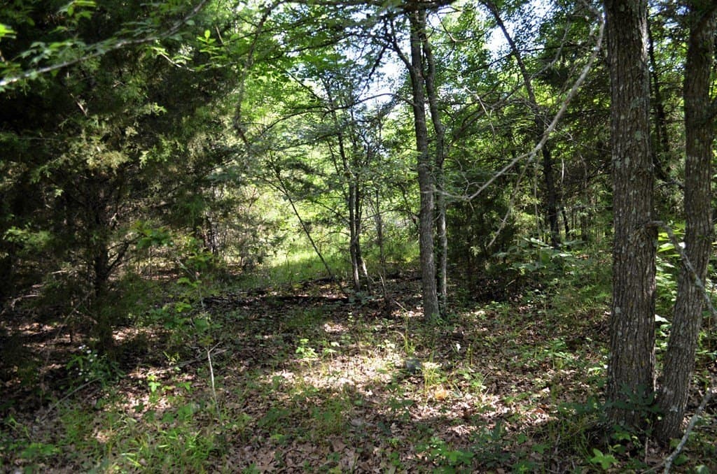 20.2 acres in Van Zandt County - photo 16