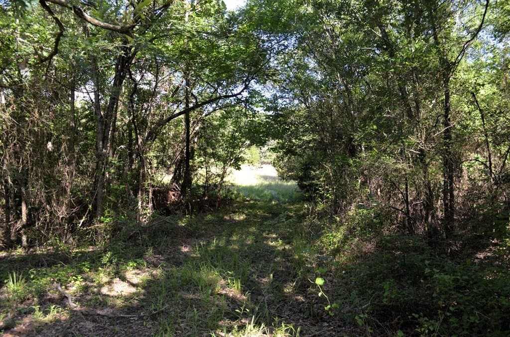 20.2 acres in Van Zandt County - photo 17