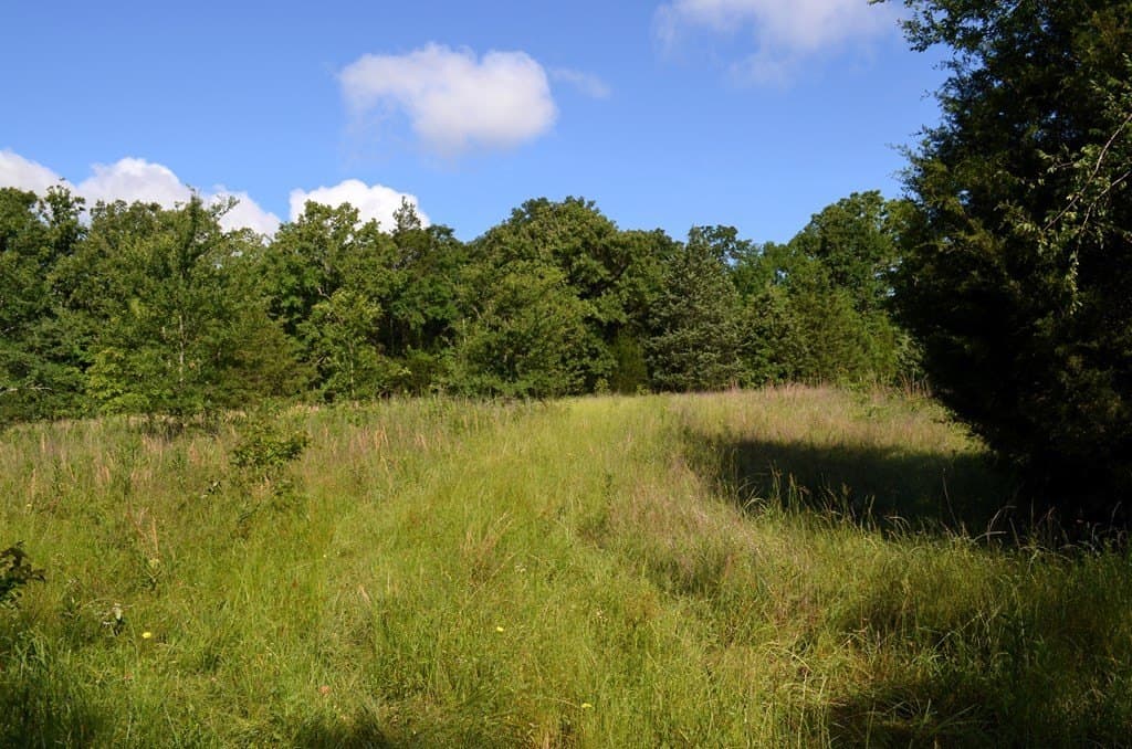 20.2 acres in Van Zandt County - photo 10