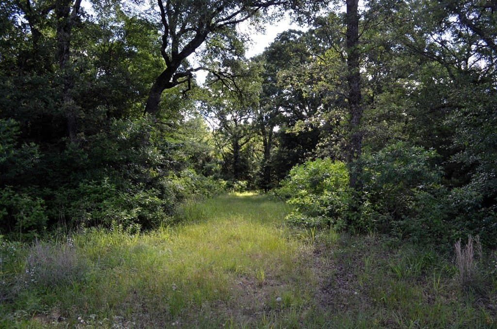 20.2 acres in Van Zandt County - photo 13