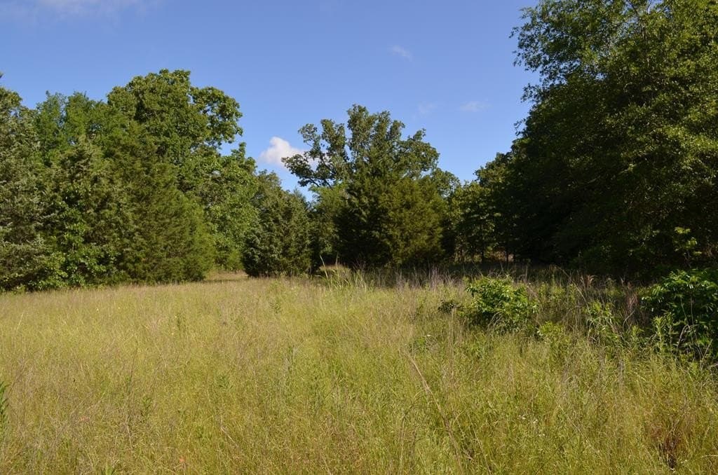 20.2 acres in Van Zandt County - photo 7