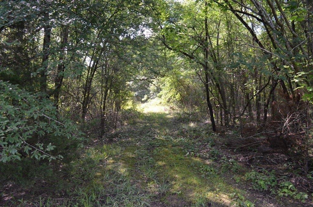 20.2 acres in Van Zandt County - photo 14