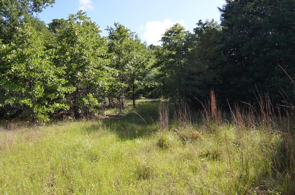 20.2 acres in Van Zandt County - photo 4