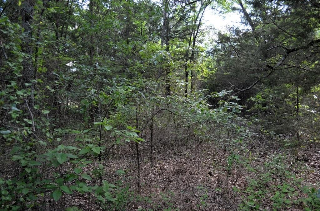 20.2 acres in Van Zandt County - photo 3