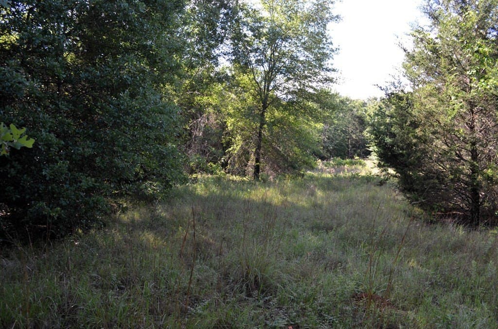 20.2 acres in Van Zandt County - photo 12