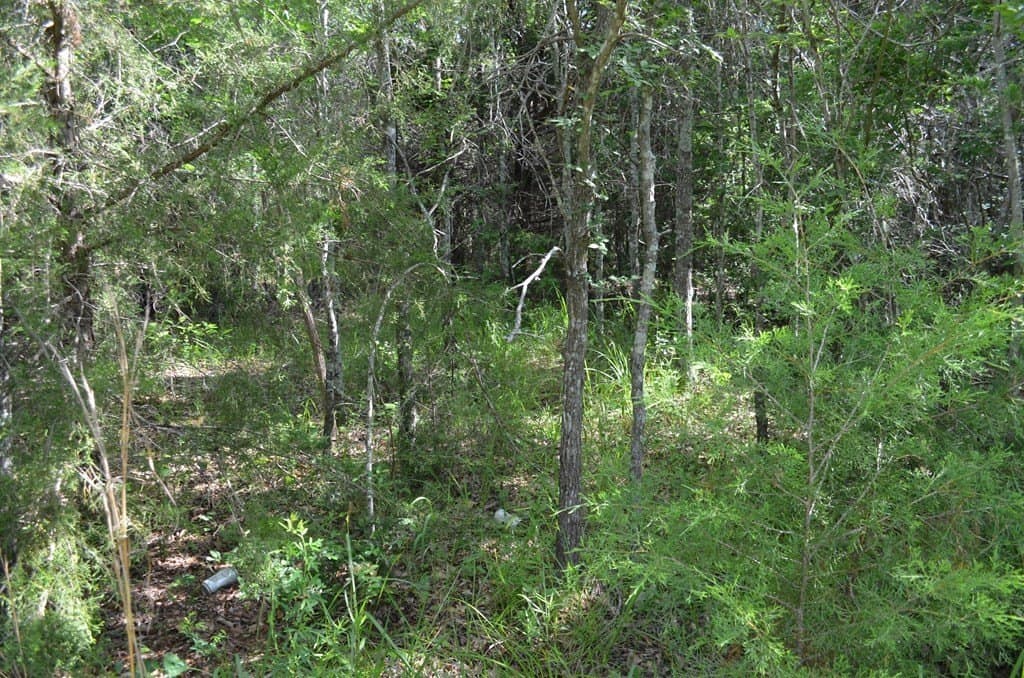 20.2 acres in Van Zandt County - photo 20