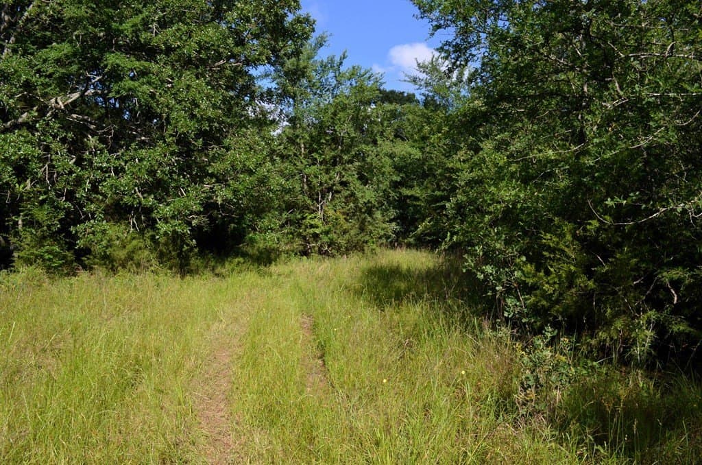 20.2 acres in Van Zandt County - photo 18