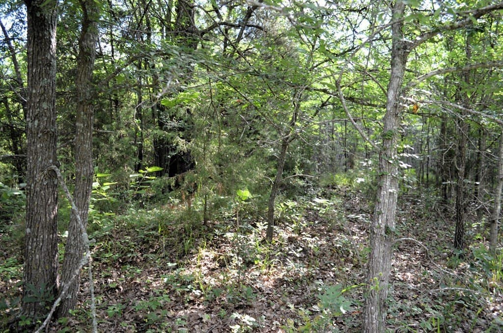 20.2 acres in Van Zandt County - photo 19