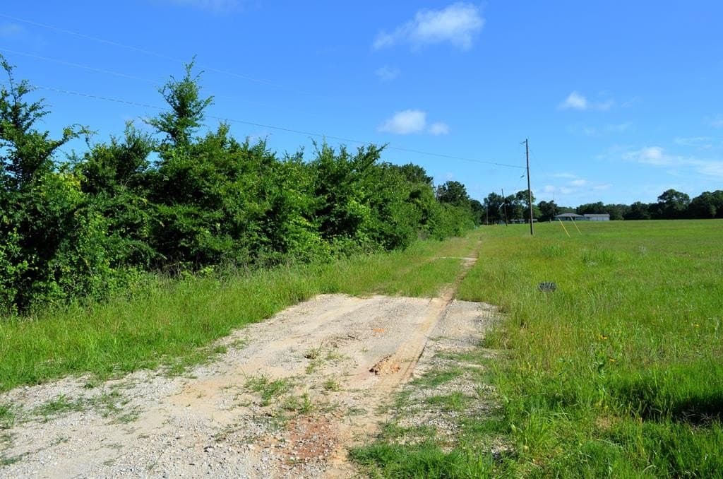 20.2 acres in Van Zandt County - photo 6