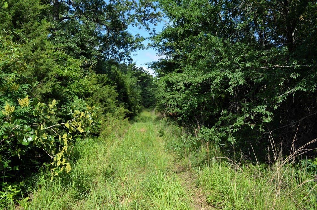 20.2 acres in Van Zandt County - photo 11