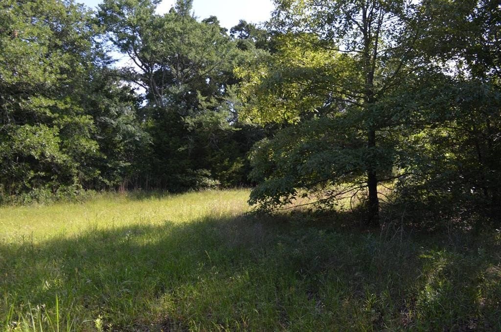 20.2 acres in Van Zandt County - photo 8