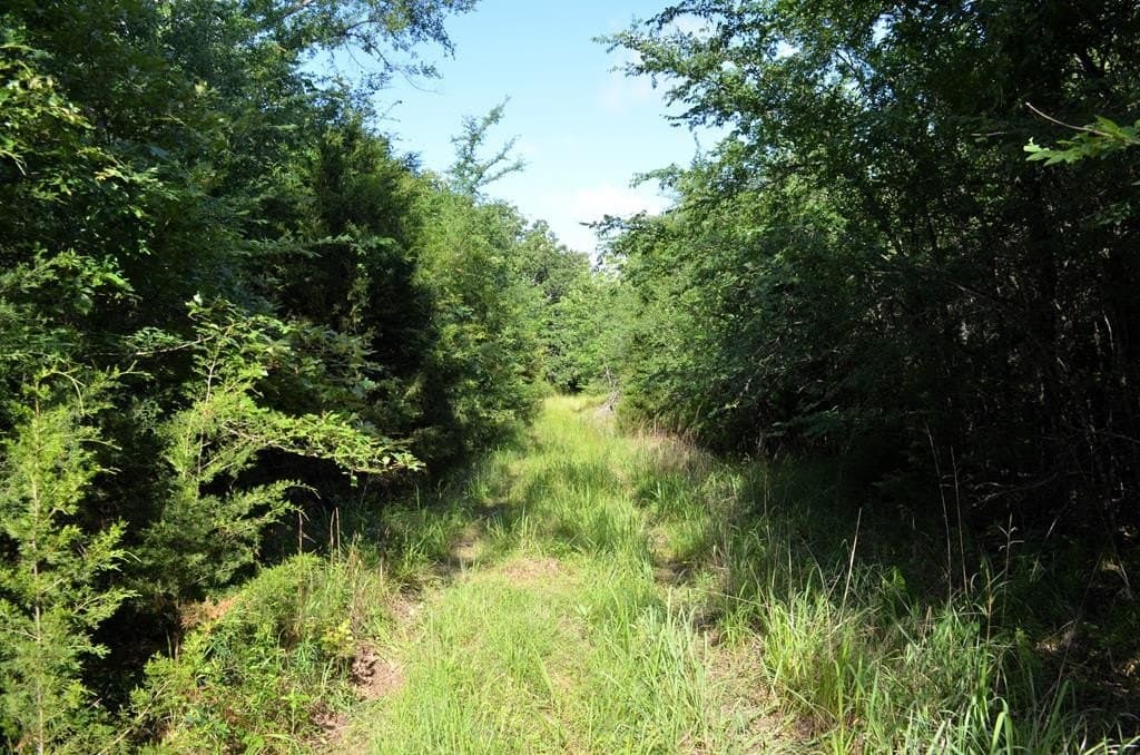 20.2 acres in Van Zandt County - photo 5
