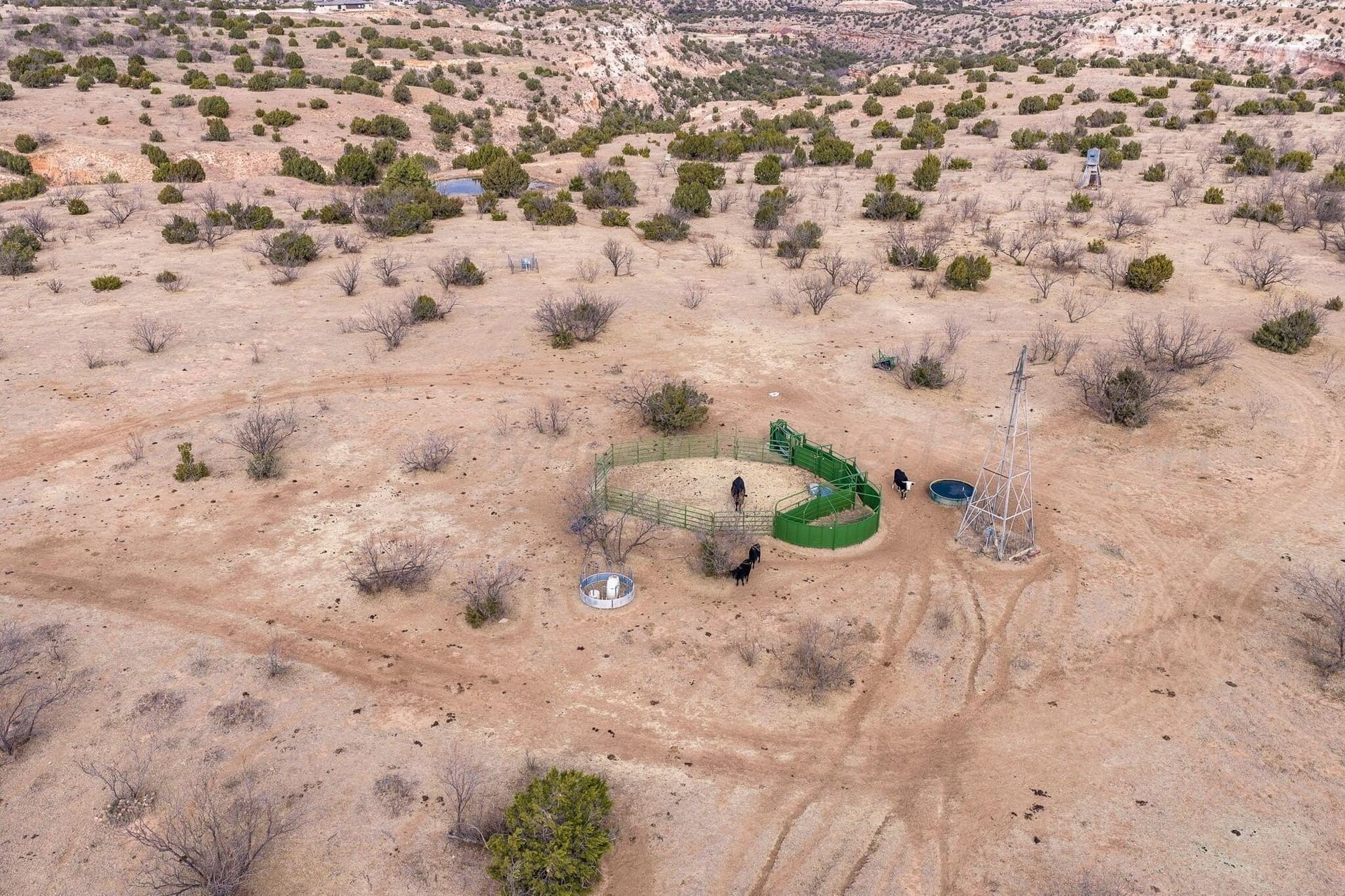 115 acres in Randall County featured view