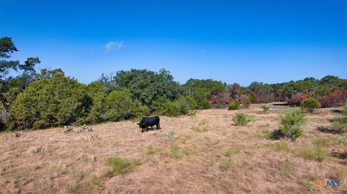 392.29 acres in Burnet County - photo 17