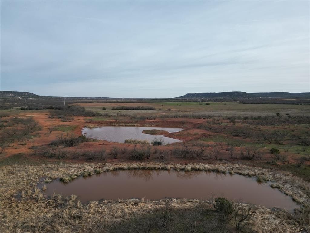 160 acres in Taylor County gallery image 4