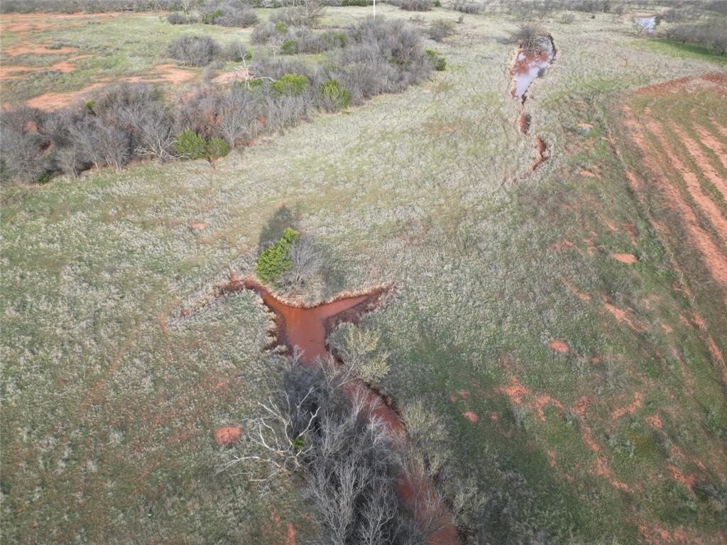 160 acres in Taylor County gallery image 2