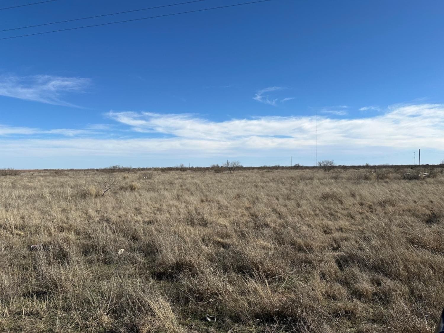 94.48 acres in Hockley County gallery image 2