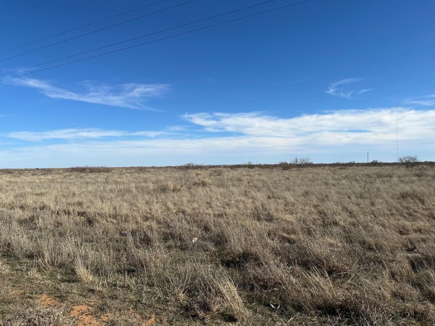 94.48 acres in Hockley County