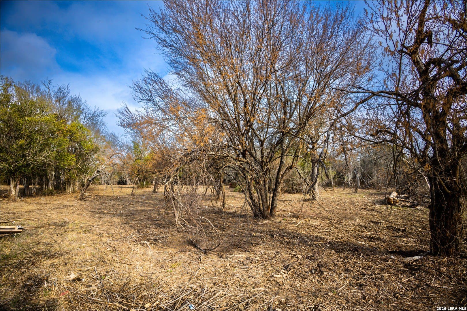0.86 acres in Bexar County gallery image 3