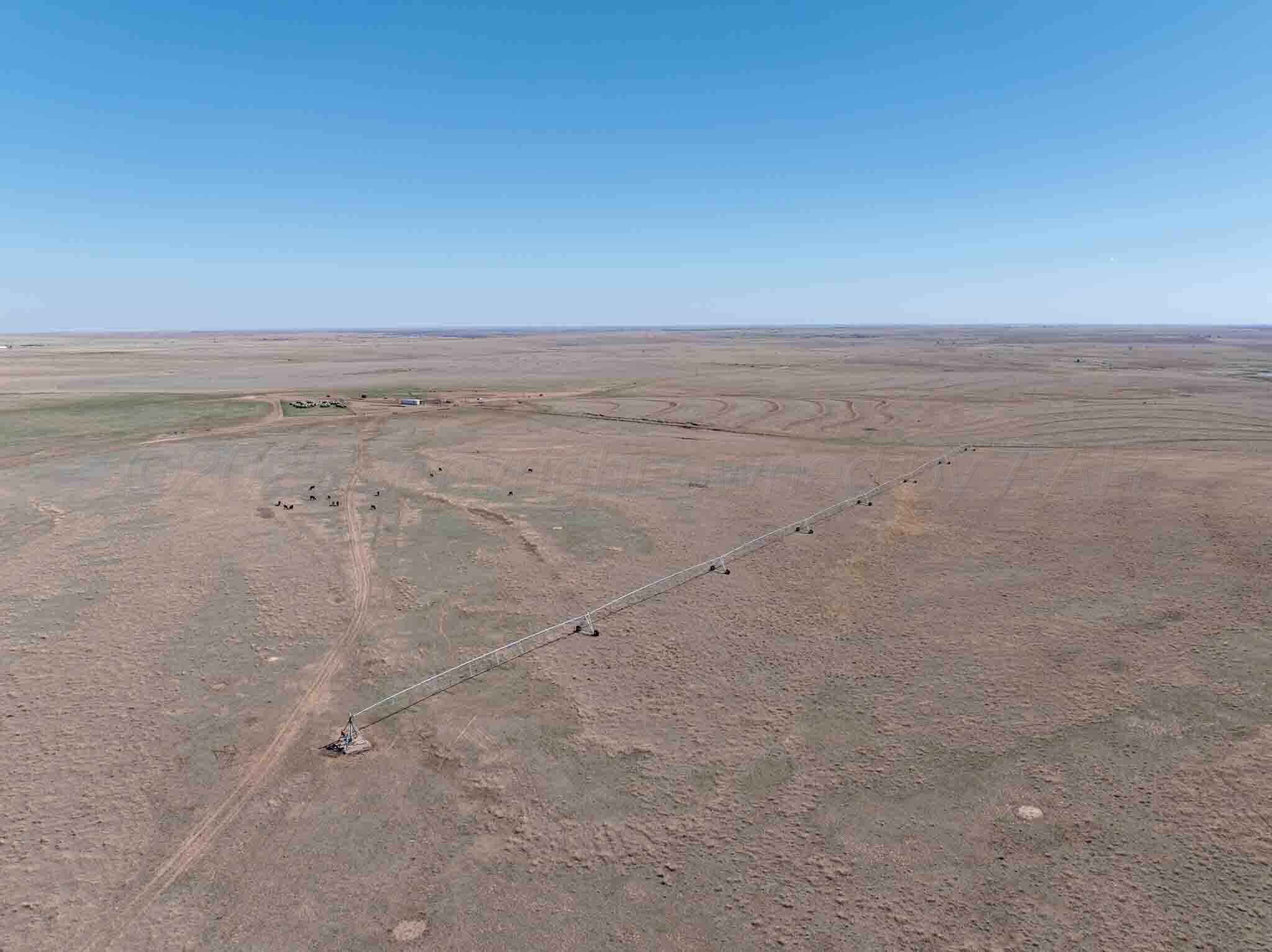813 acres in Lipscomb County - photo 7