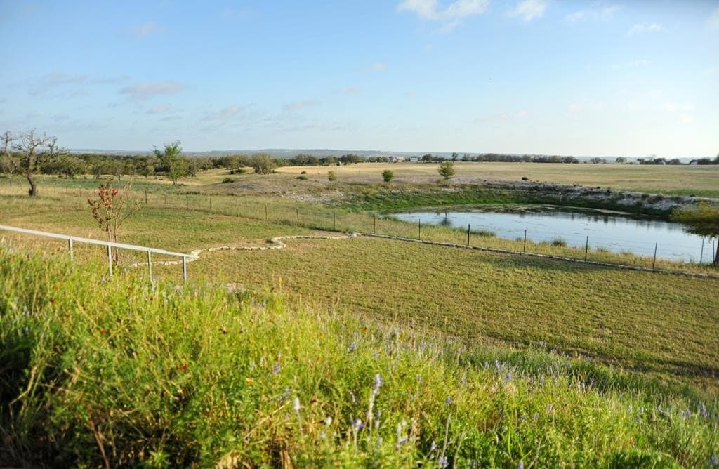 59.54 acres in Gillespie County - photo 17