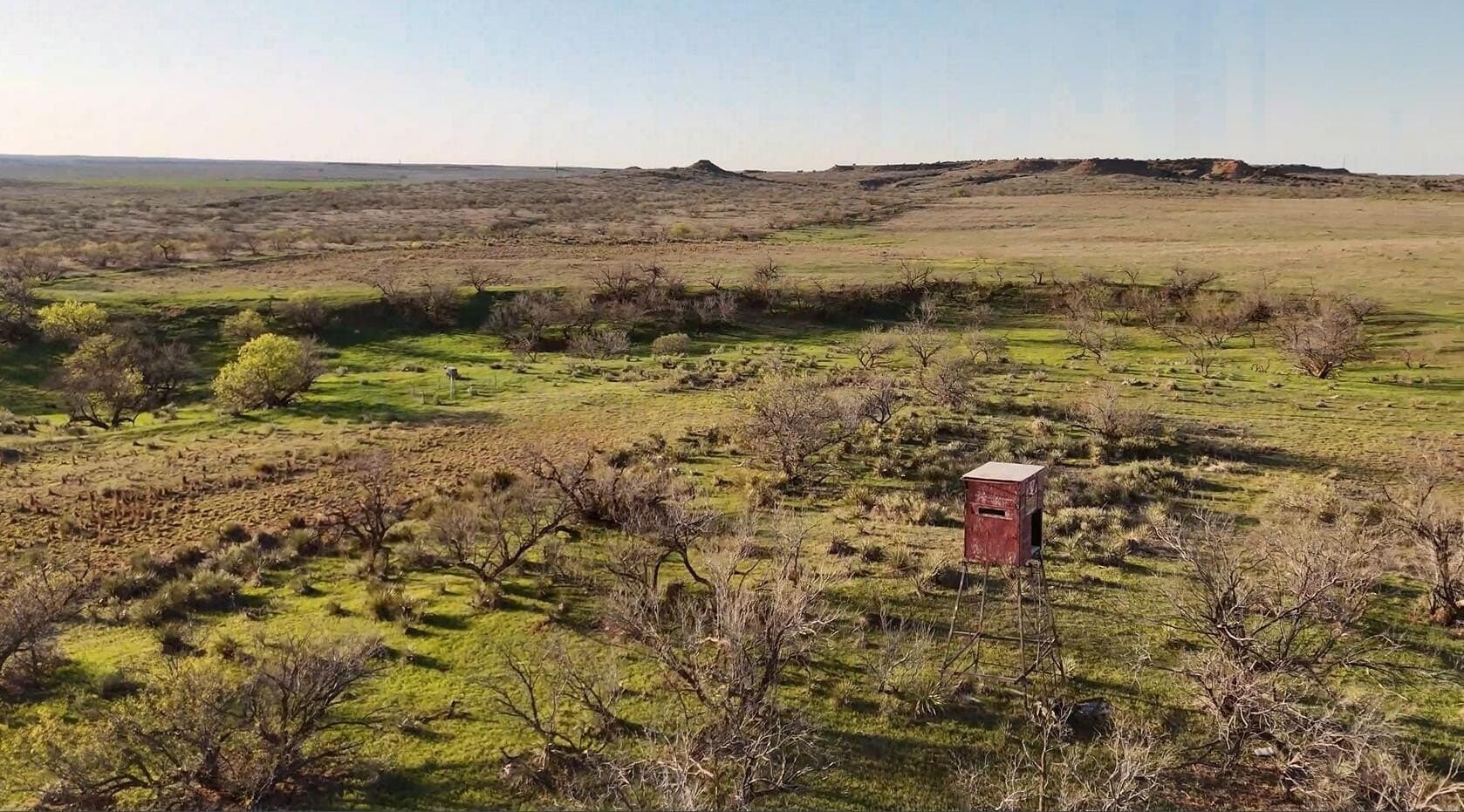 647 acres in Collingsworth County gallery image 3