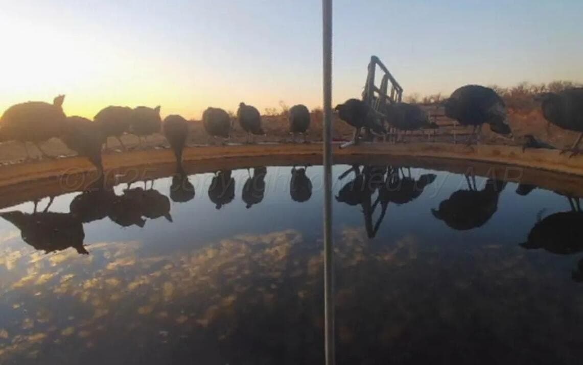 647 acres in Collingsworth County featured view