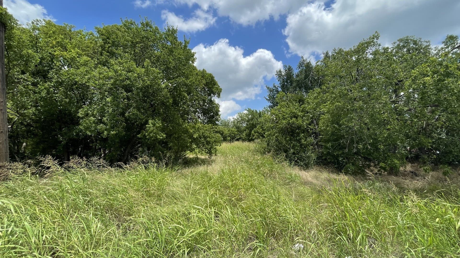 0.3 acres in Dallas County