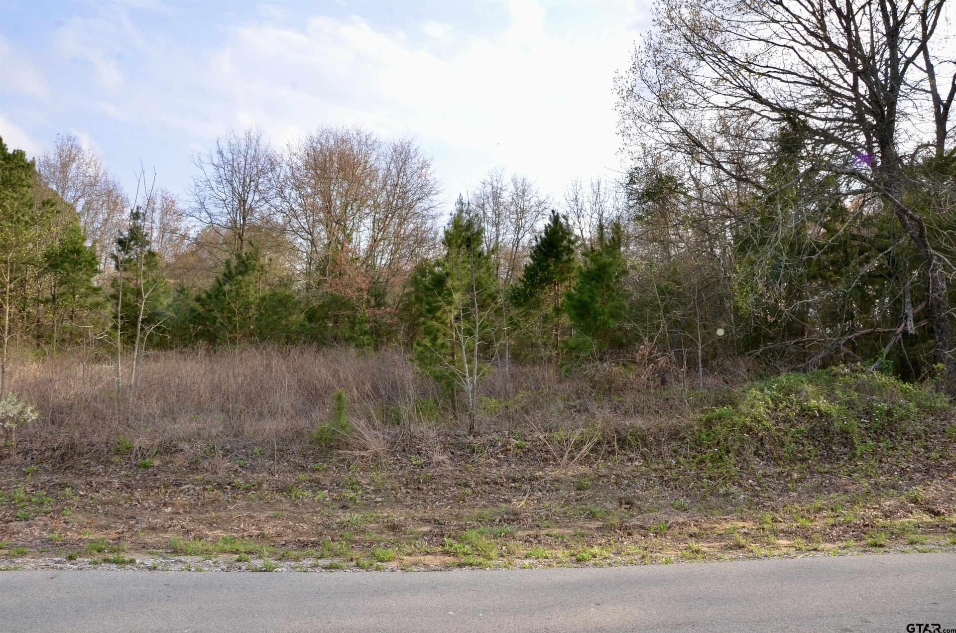0.5 acres in Wood County - photo 6