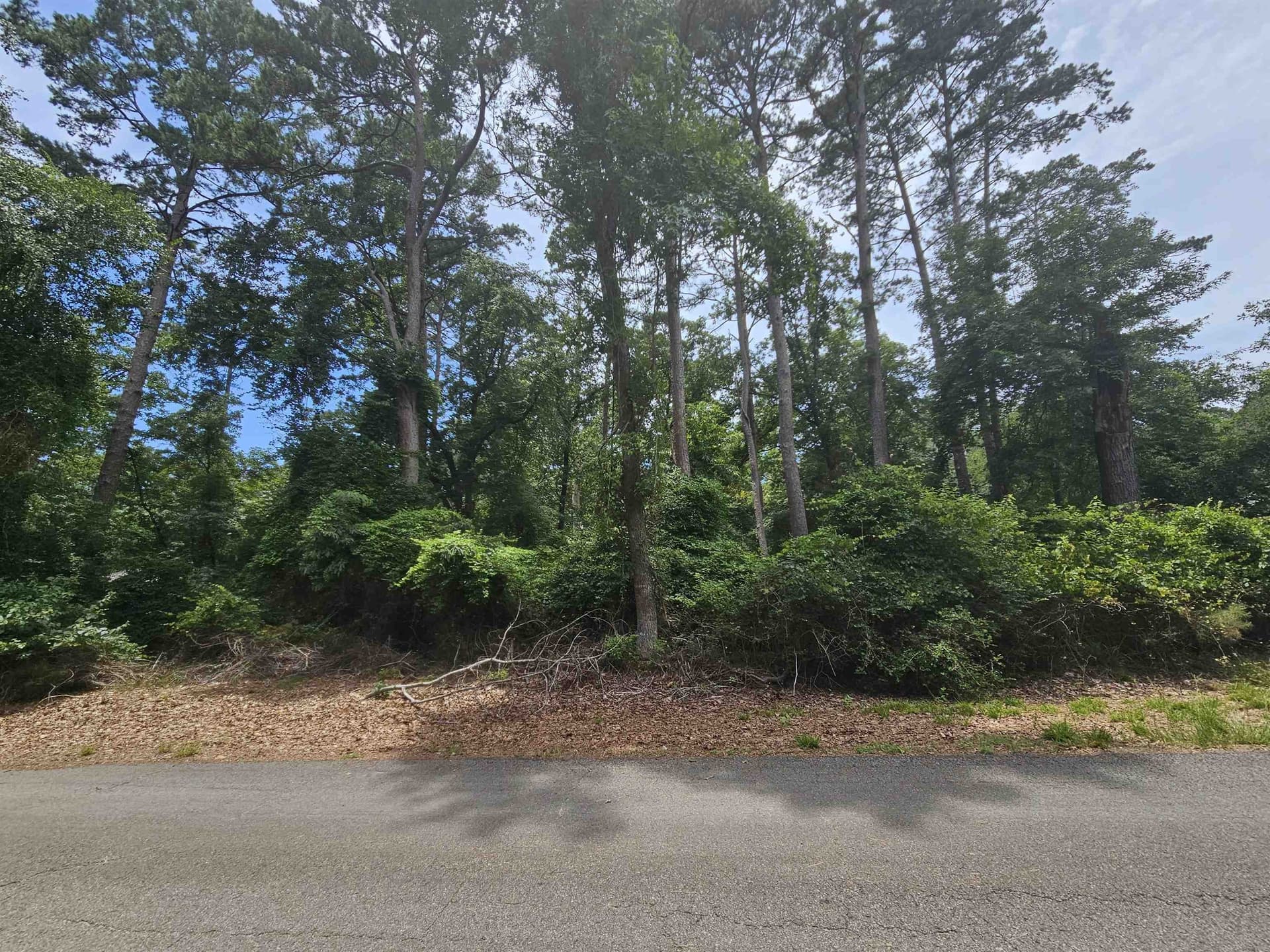 0.5 acres in Wood County gallery image 4