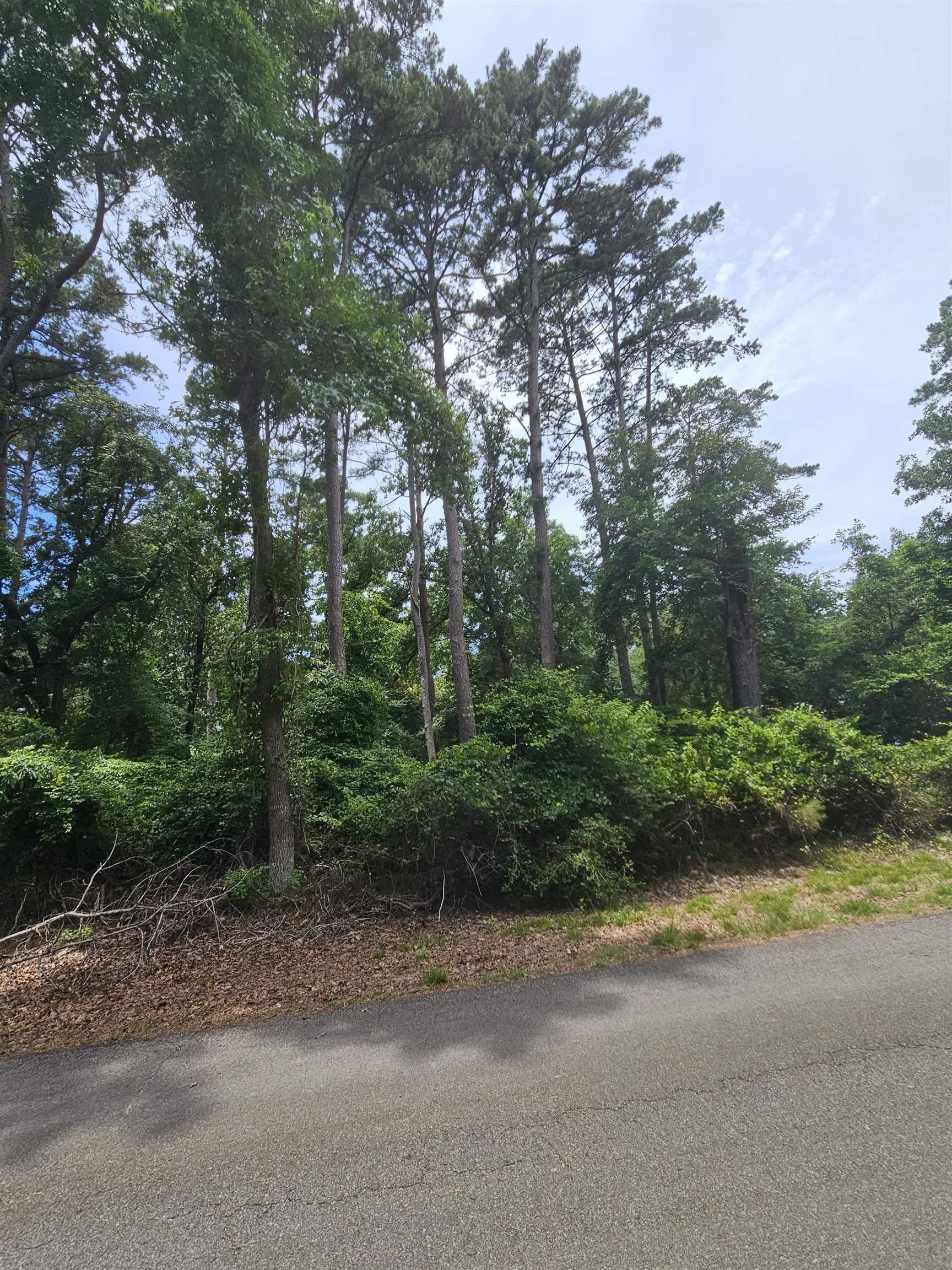 0.5 acres in Wood County gallery image 3