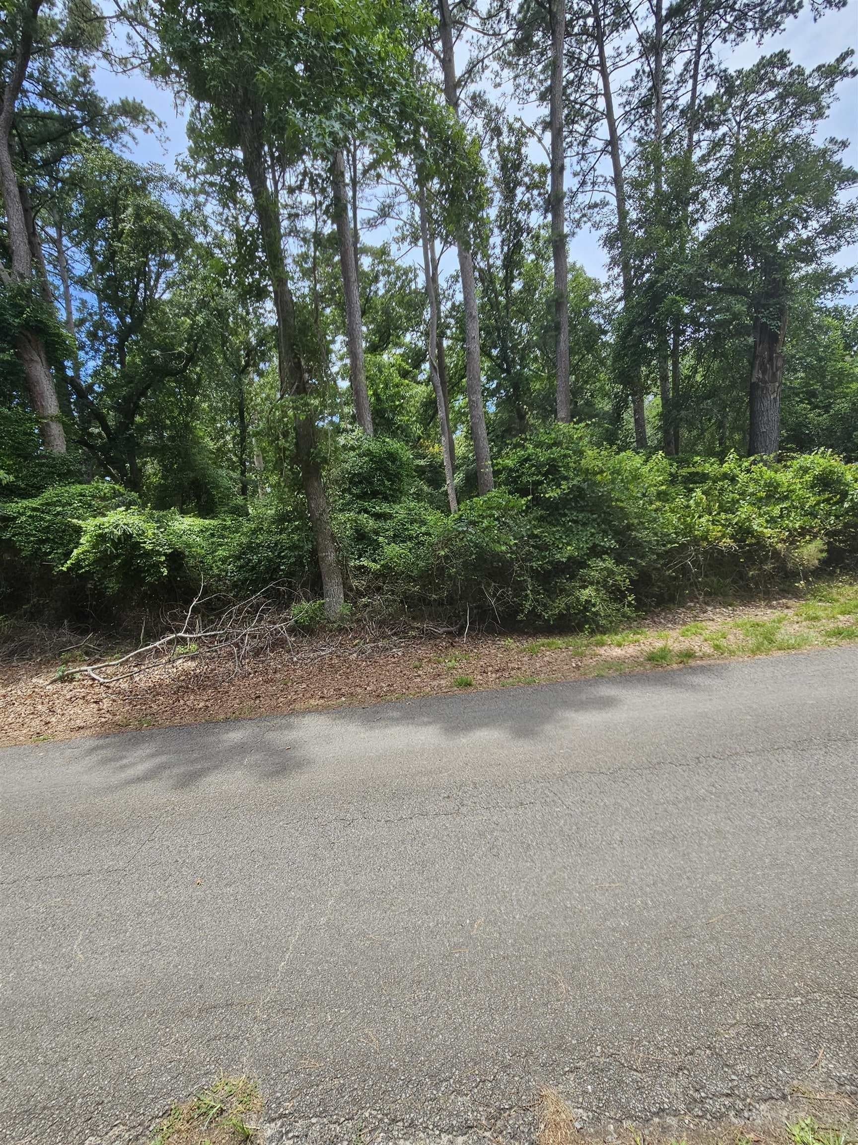 0.5 acres in Wood County gallery image 2