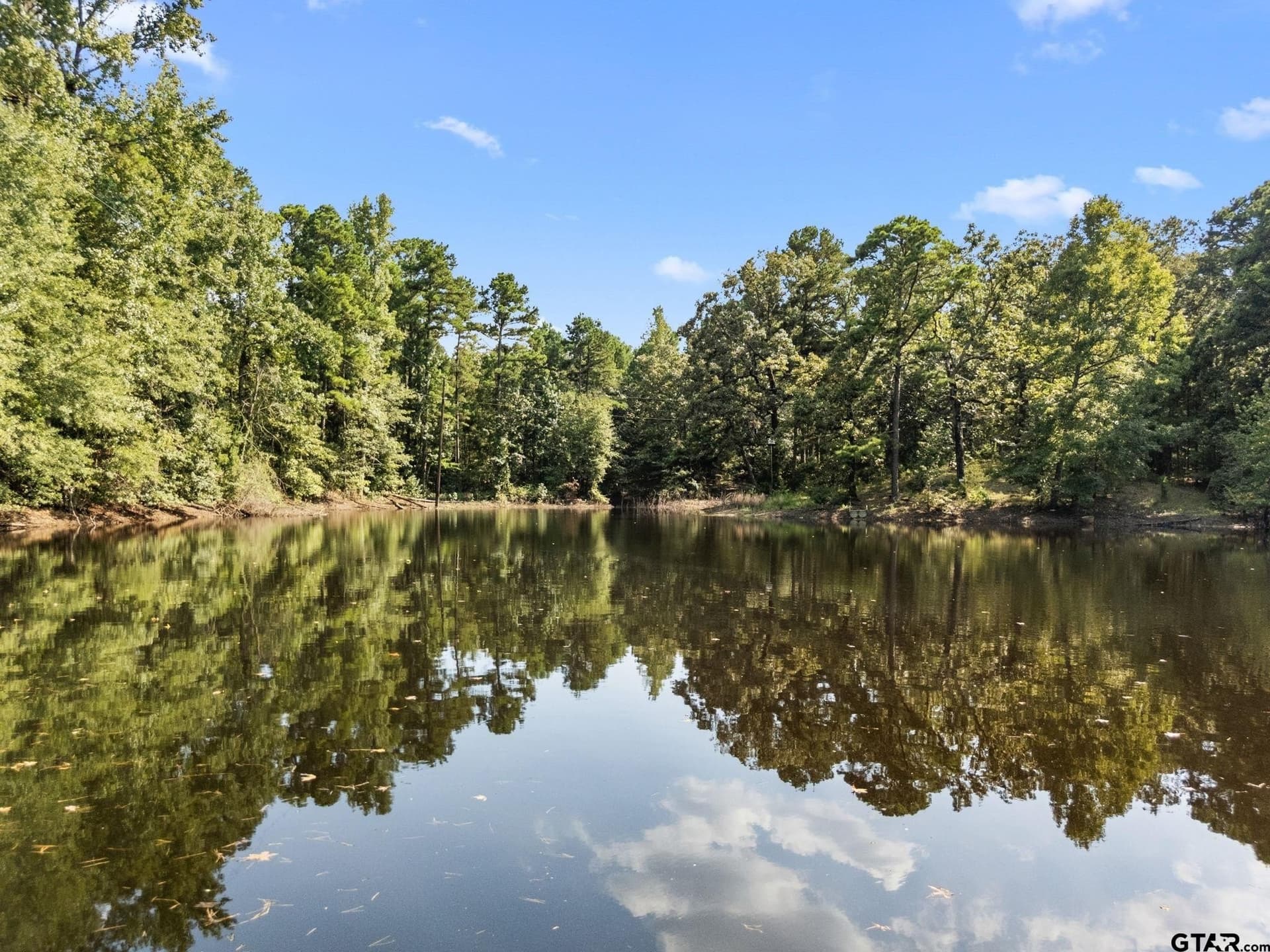 37.72 acres in Wood County - photo 8