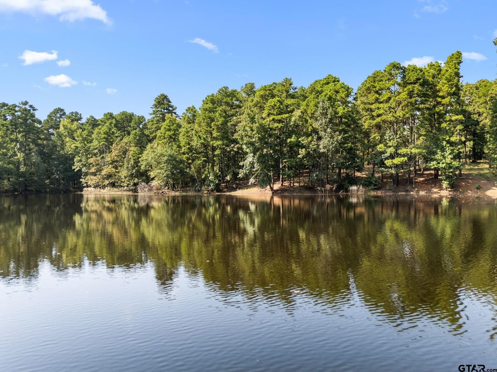 37.72 acres in Wood County - photo 7