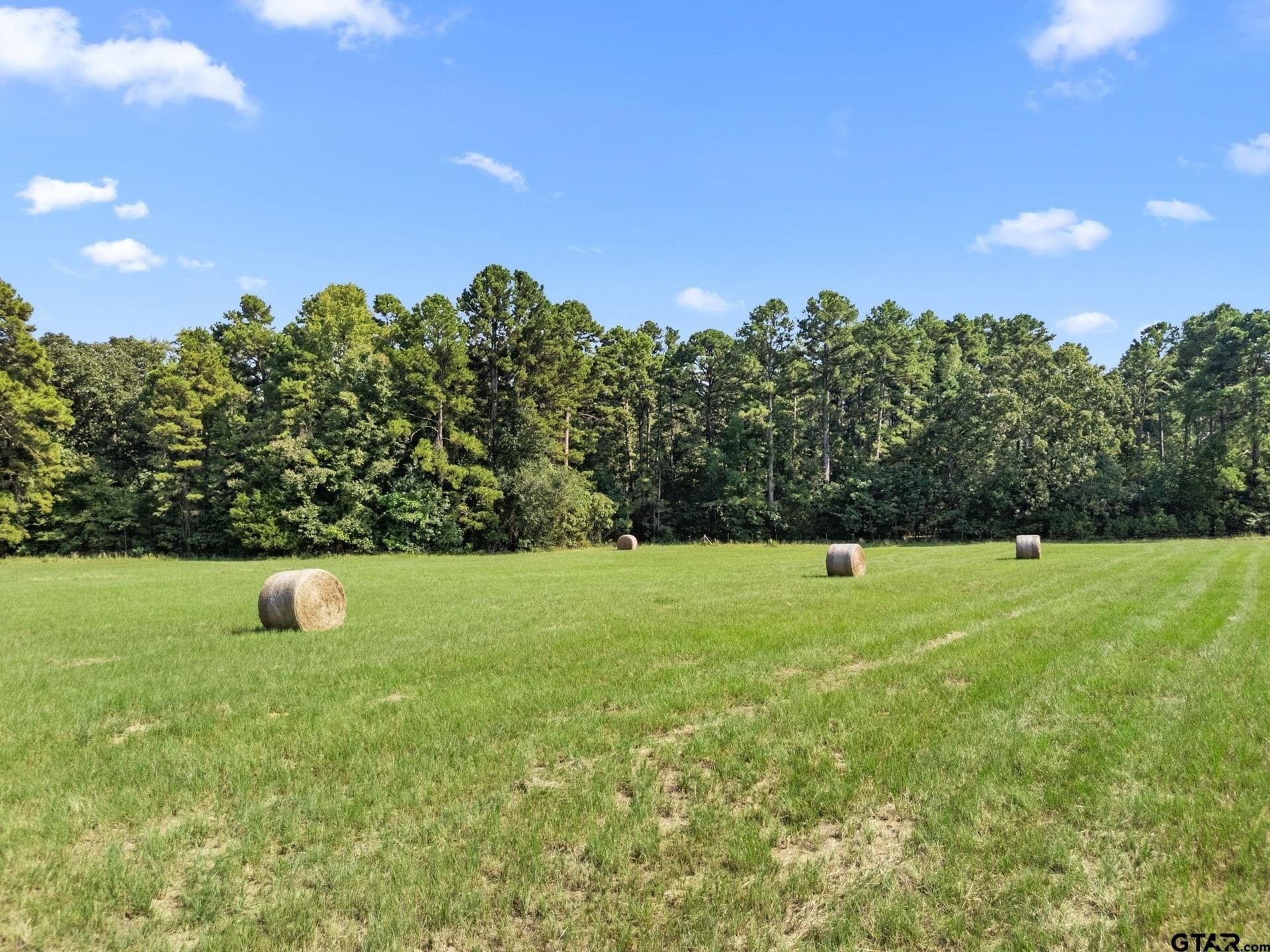 37.72 acres in Wood County - photo 5