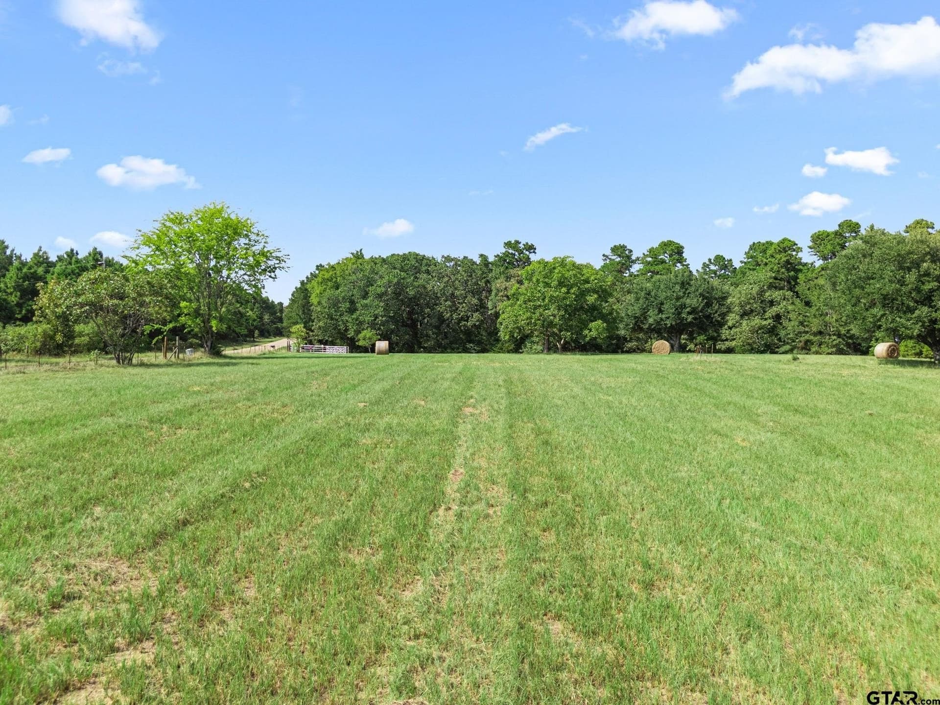 37.72 acres in Wood County - photo 6