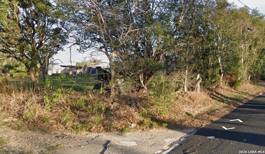 0.64 acres in Guadalupe County gallery image 4