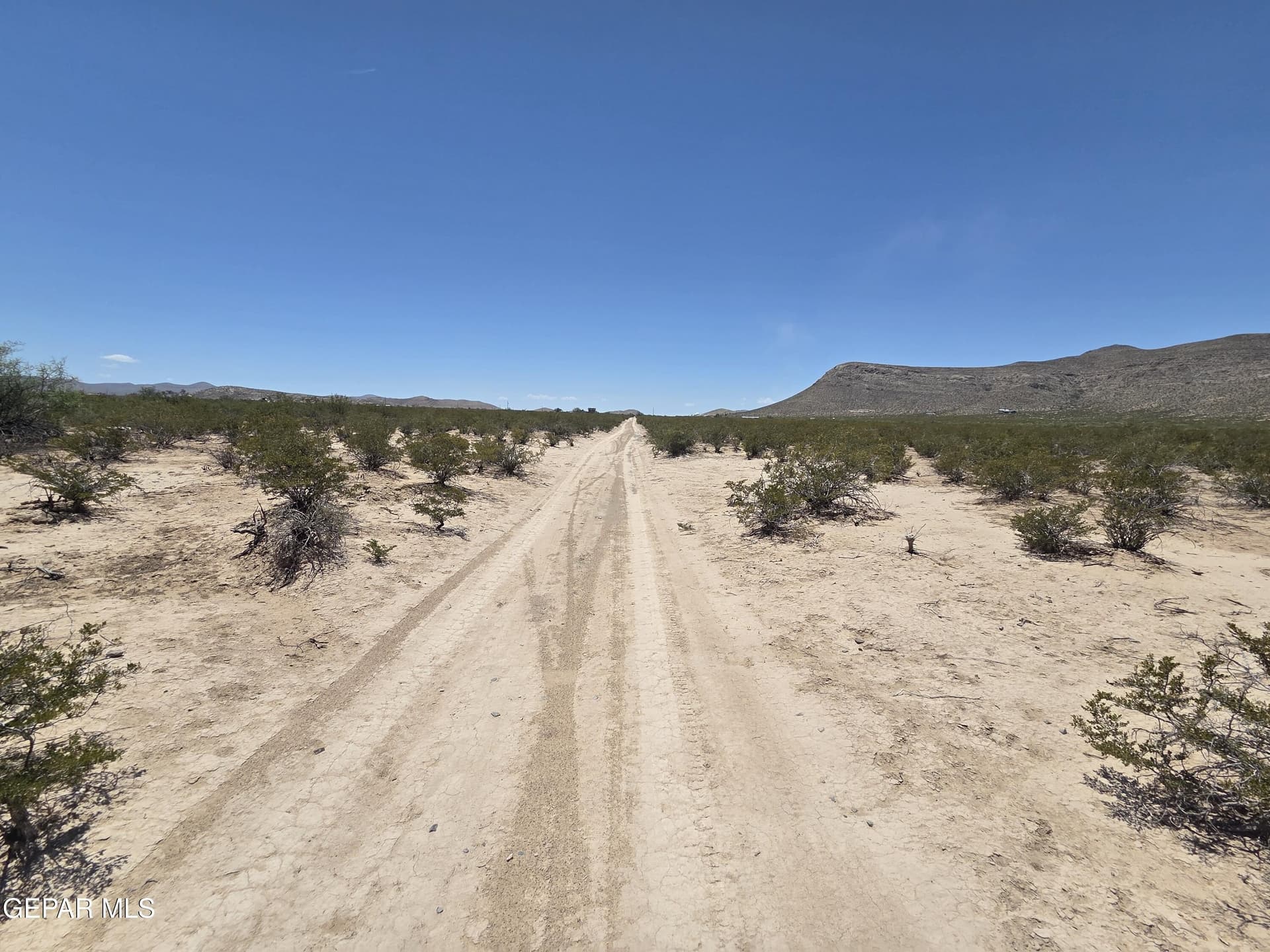 0.6 acres in El Paso County gallery image 3