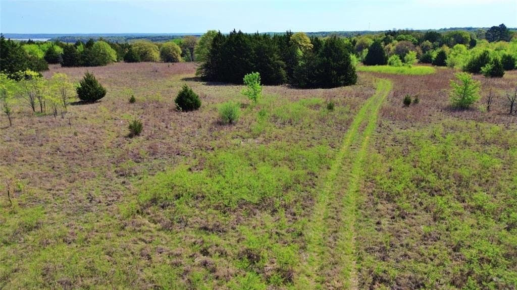 33.02 acres in Grayson County featured view