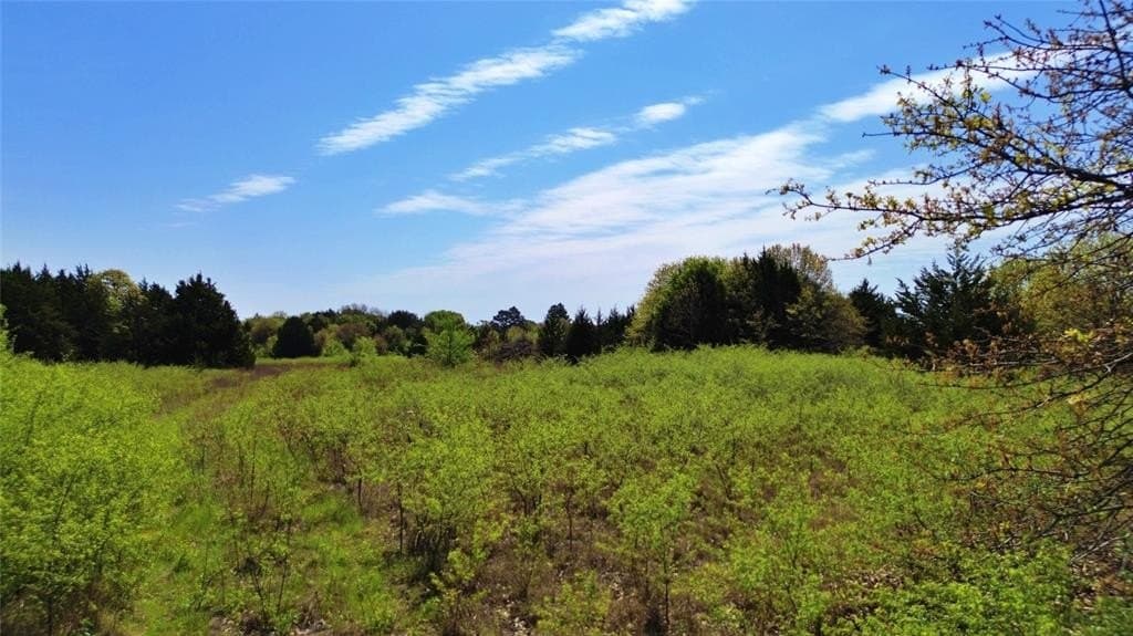33.02 acres in Grayson County gallery image 3