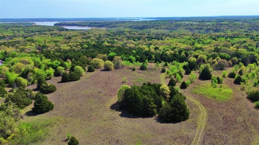 33.02 acres in Grayson County gallery image 4