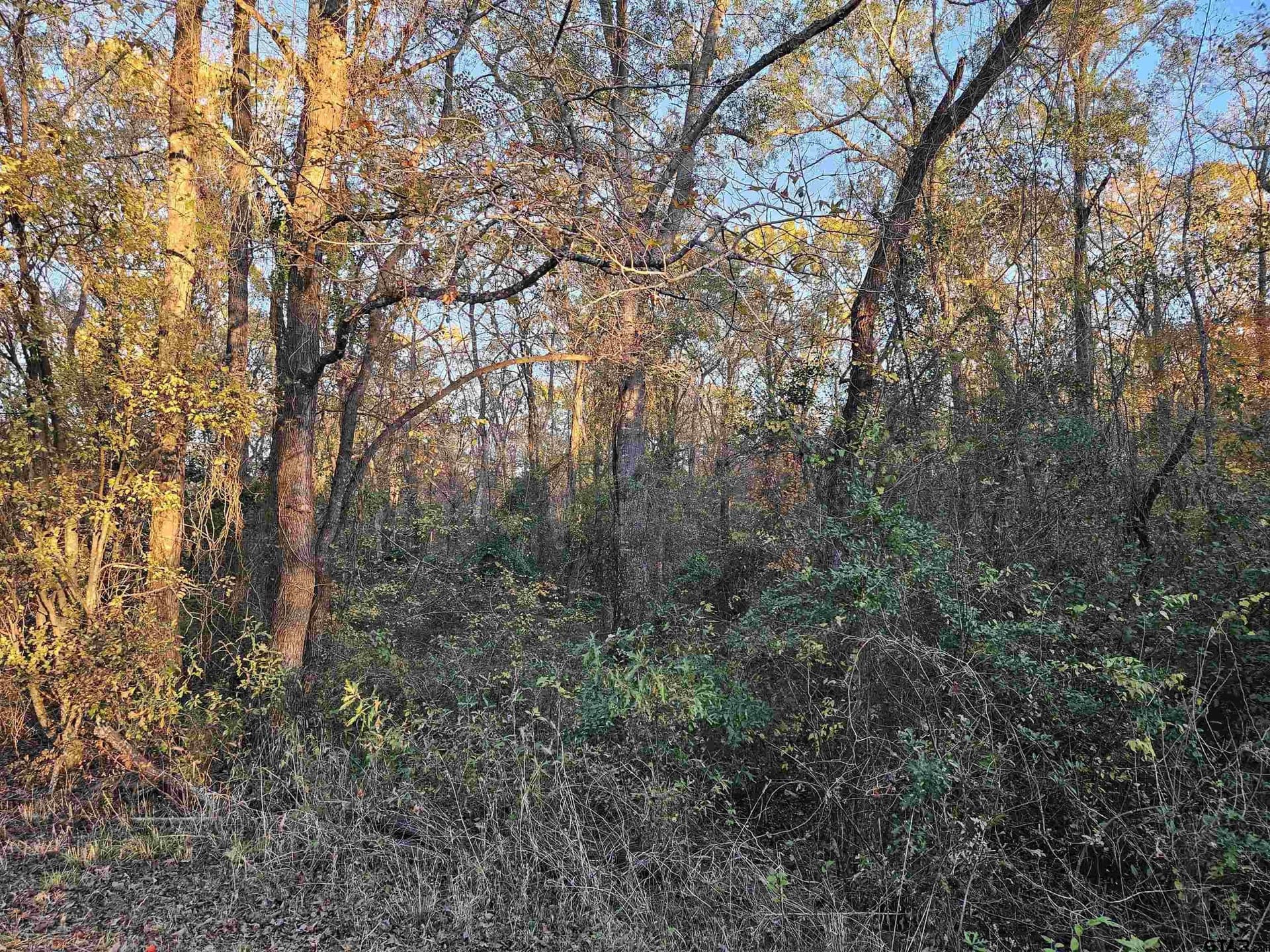 2.2 acres in Smith County