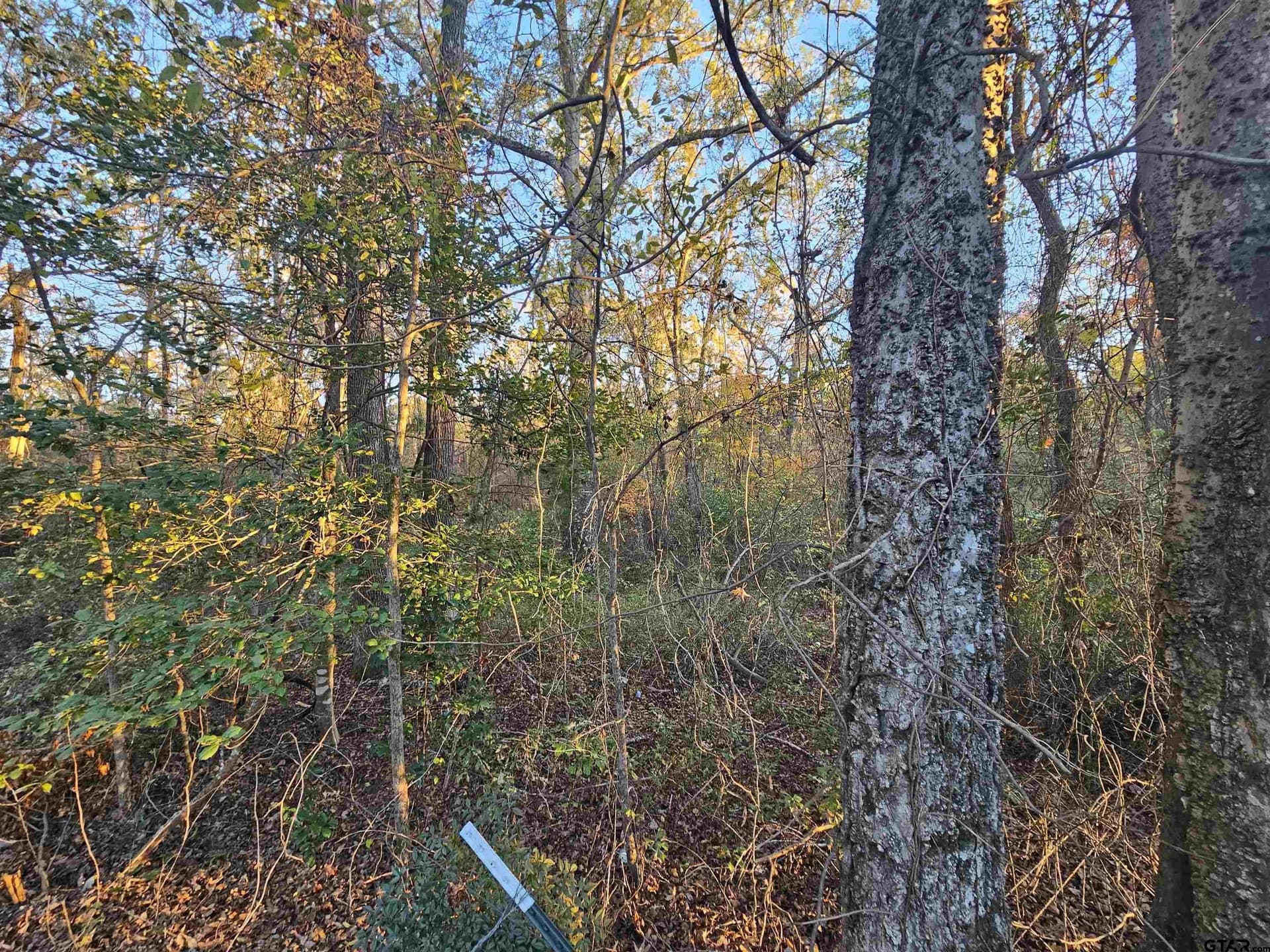 2.2 acres in Smith County gallery image 3