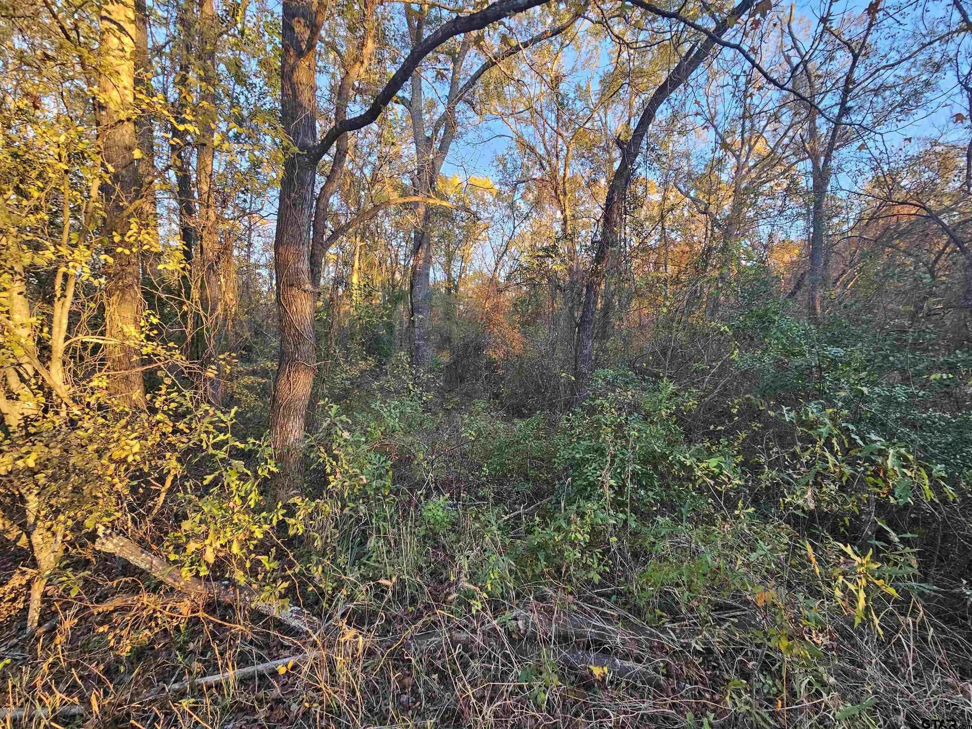 2.2 acres in Smith County gallery image 2