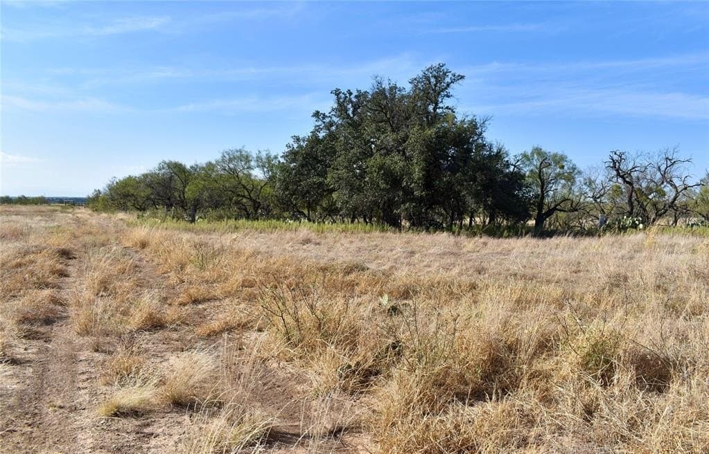 120 acres in McCulloch County gallery image 3