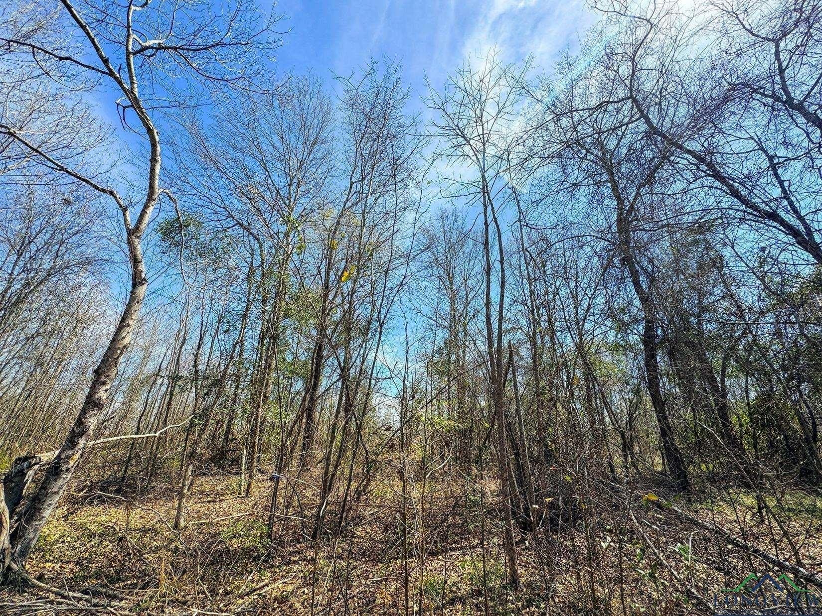 11 acres in Cass County gallery image 4