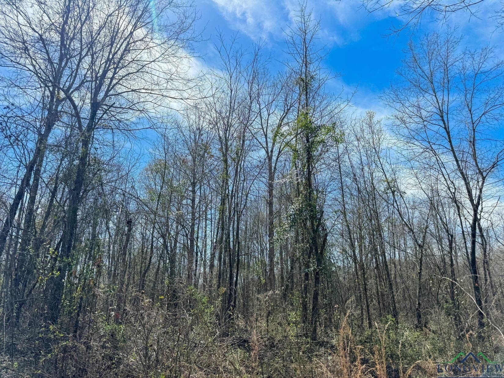 11 acres in Cass County featured view