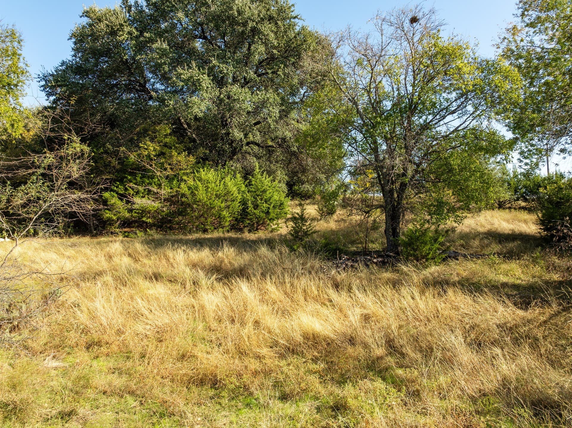 0.48 acres in Hill County gallery image 4