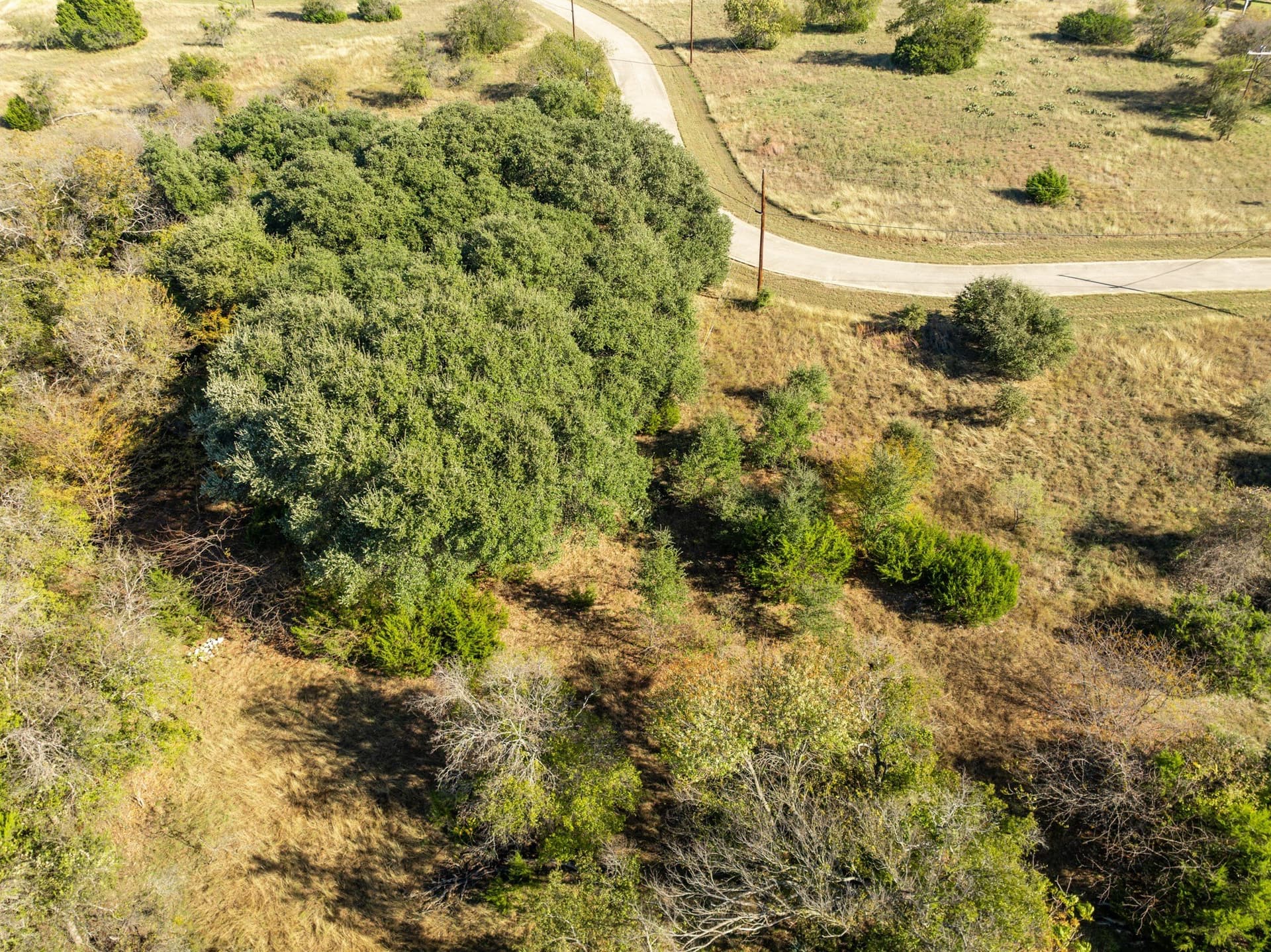 0.48 acres in Hill County gallery image 3