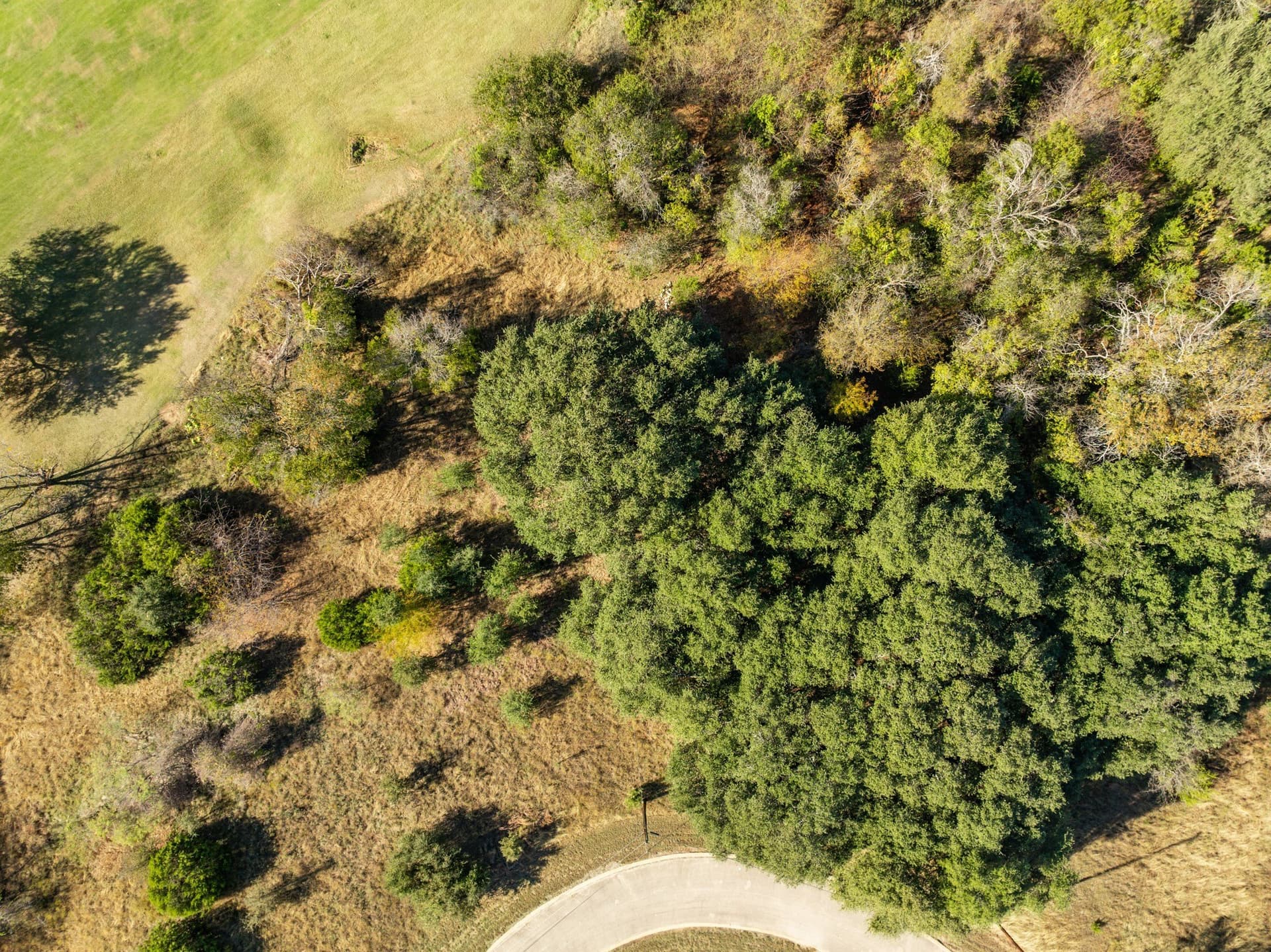 0.48 acres in Hill County - photo 6
